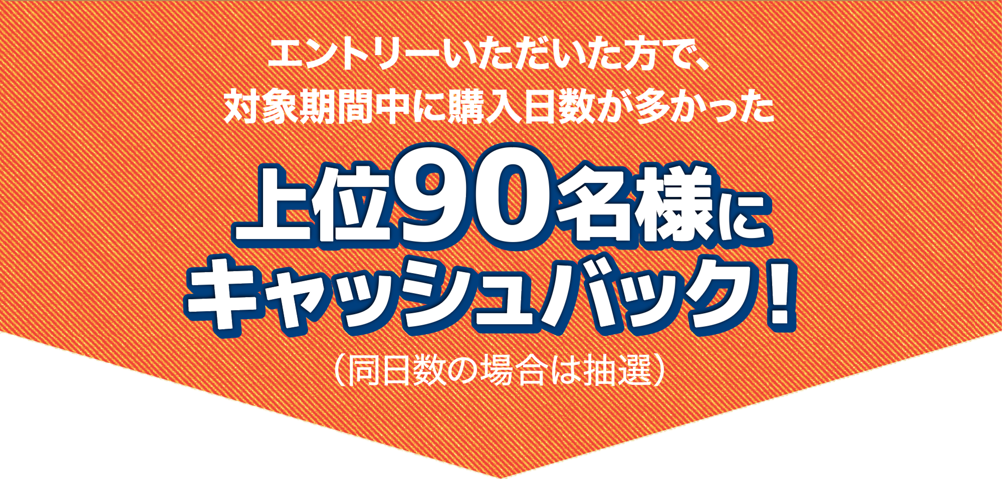 エントリーいただいた方で、対象期間中に購入日数が多かった上位20名様にキャッシュバック!